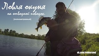 Ловля окуня на спиннинг. Отводной поводок. Larva и Dagger от TM Fanatik.