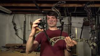 Best Compound Bow for Beginners