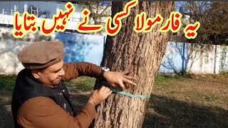 Tree Measurement of standing and chopped easy formula | Tree Business