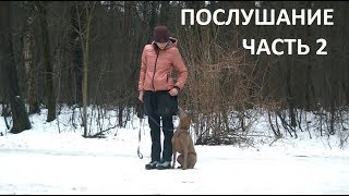 ТАЙСКИЙ РИДЖБЕК ПОСЛУШАНИЕ ЧАСТЬ 2