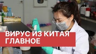 Вирус в Китае. Что важно знать. Новый китайский вирус. Последние новости о вирусе из Китая 2020