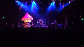 Infected Mushroom Live in Boulder - The Pretender (Foo Fighters Cover)