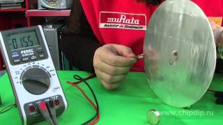 Faraday Disc