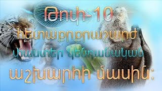 Հետաքրքիր  և տարօրինակ   փաստեր  կենդանիների մասին