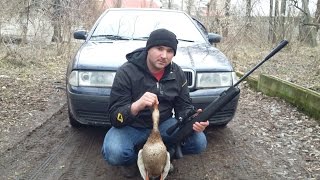 охота с пневматикой хатсан 125 !duck hunting with air rifles hatsan (Evil Hunter)