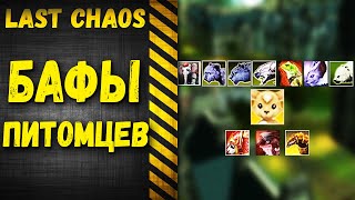 last chaos gamigo - Питомцы и их бафы