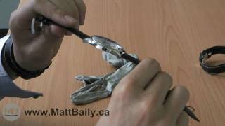 Review of Hamilton Jazzmaster Slim Petite Seconde Watch