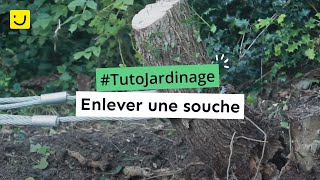 Enlever une souche (Ooreka.fr)