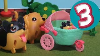 Chubby Puppies All American Vacation!