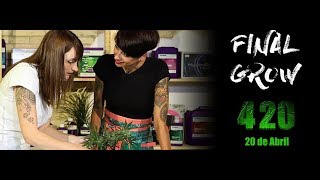 Final Grow, el documental sobre cultivo en interior