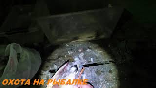 КАК ОЩИПАТЬ  ДИКУЮ УТКУ