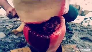 Как ЗАРЕЗАТЬ СВИНЬЮ? 16+