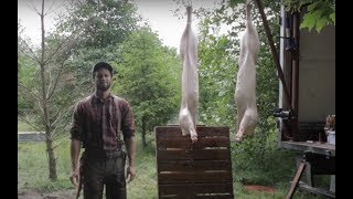 To Harvest a Pig Nicely | Humane Pork Butchering Guide