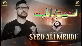 New Noha 2020 | Ummat Nay Tarpaya Bohat | Syed Ali Mehdi Naqvi | Ayam E Fatmiya 2020