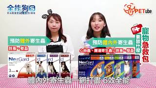 【哈寵PETube】第15集 寵物急救包要放什麼