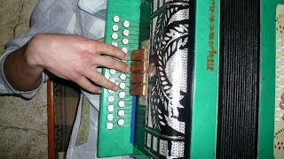 Кышкы чия - Хания Фархи на гармони (разбор).