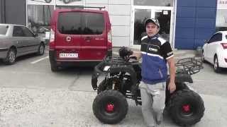 Видео обзор квадроцикла Comman Hamer ATV200