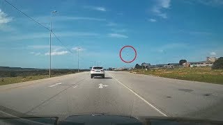 Something hit my car and I was astonished to see what it was