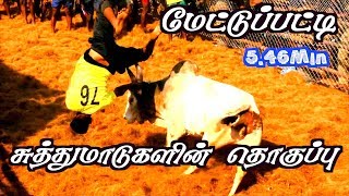 மேட்டுப்பட்டி சுத்தமாடுகளின் தொகுப்பு / mettupatti jallikattu 2018 / Suthumadu