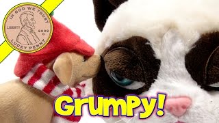 Grumpy Cat Plush Stuffed Animal - The Stare Down Of The Century!  Who Wins?