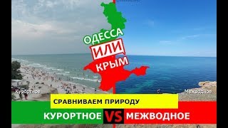 Курортное VS Межводное | Сравниваем природу ☀️ Одесса VS Крым - куда поехать?