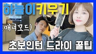 [하늘이키우기]#23 4개월초보인턴 남자드라이하는 방법 꿀팁 노하우 이정도까지 알려주다니