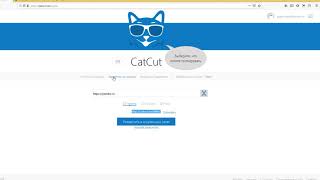 Бот для catcut.net