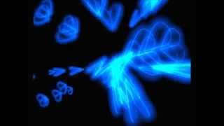 ФУТАЖ- ПОРХАЮЩИЕ БАБОЧКИ