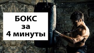 Мои тренировки по боксу | Веселый клип о боксерских тренировках