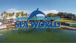 VLOG : SEA WORLD GOLD COAST AUSTRALIA