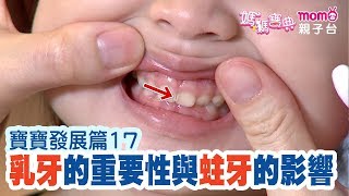 寶寶發展篇 - 17【乳牙的重要性與蛀牙的影響│黃異臼醫師】- 媽媽寶典 S2 第二季│momo親子台《官方HD 精華版》