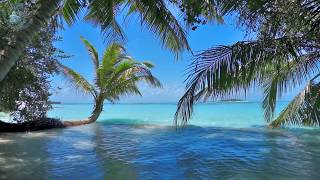 ? Ocean Waves On Tropical Island (Maldives) Ambience Sound, Paradise Beach Sounds For Relaxation