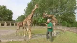 GCSE Science Revision Darwin versus Lamarck