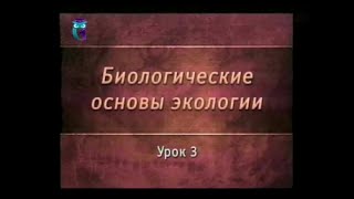 Урок 3. Бывает ли дружба между живыми организмами?