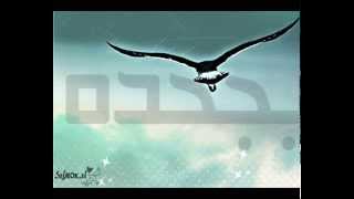 شادي الواحه - صالح اليامي