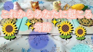 これからあなたに起こる奇跡✨【オラクルカード】