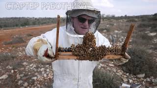 Тот самый Стартер Работника. Это адаптированная версия для пчеловода выходного дня!