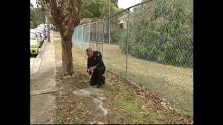 Rare Aboriginal rock art across Sydney and Newcastle (Australia) faces threats