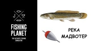 Как ловить Ильную рыбу Fishing Planet (поплавок) | Фишинг Пленет Ильная рыба