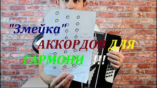 ЗМЕЙКА аккордов для гармони