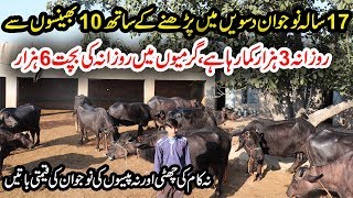 Nasir Dairy Farm | Young Student Buffalo Farmer | Buffalo Farming | Dairy Farming in Punjab