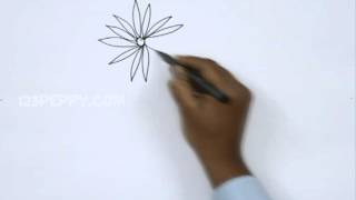 How to Draw China Aster