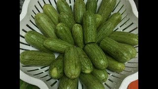 تخزين الكوسه للمحشى فى دقيقتين عشان متتعبيش فى المحشى فى رمضان / تفريزات رمضان