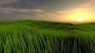 Grass Rendering: Geometry-Shader