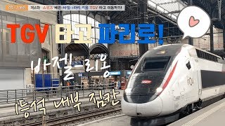 바젤 - 파리 떼제베 타고 이동!  루체른-바젤역 환승 TGV Basel - Paris Gare De Lyon 1등석
