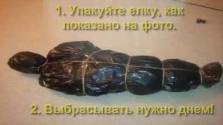 Как правильно выбросить елку после Нового года