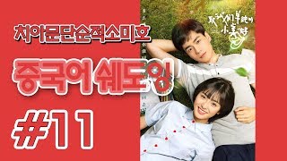 [중국어쉐도잉]치아문단순적소미호 #11