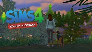 The Sims 4 "Кошки и Собаки" #2 | ДРЕССИРОВКА
