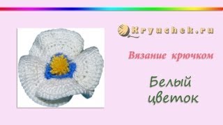 Вязаный крючком цветок  (Crochet flower)