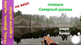 Русская рыбалка 4 - озеро Куори - Вэки у причала